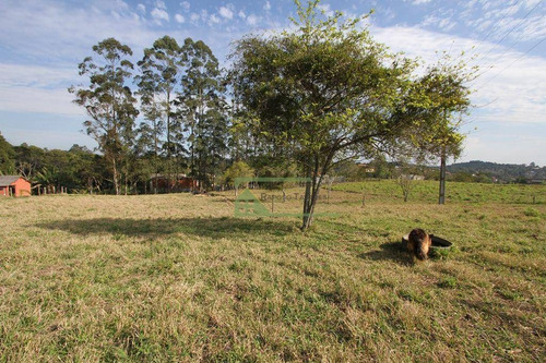 Imagem 21 de 30 de Sítio Com 5 Dormitórios À Venda, 100000 M² Por R$ 1.500.000,00 - Zona Rural - Ibiúna/sp - Si0045
