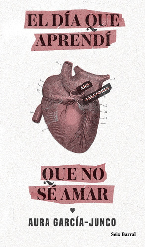 El Día Que Aprendí Que No Sé Amar.* - Aura García-junco