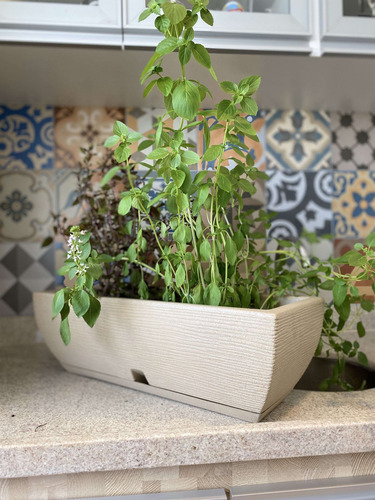 Imagen 5 de 6 de Maceta Jardinera Plástico 53x21x16 Cm Simil Piedra + Plato