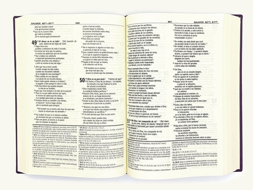 Imagen 2 de 4 de Biblia Dios Habla Hoy Estudio Deuterocanónicos Tapa Vinil