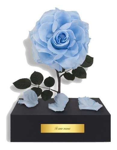 Caja Con Rosa Eterna Azul Silvestre Con Luz Y Placa Regalo
