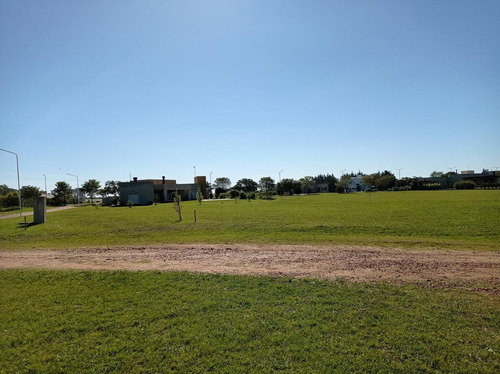 Imagen 6 de 13 de Terreno - Gualeguaychu