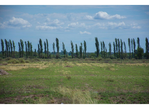 Venta Terreno / Lote El Cerrito