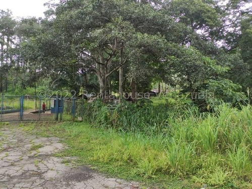 Imagen 15 de 20 de Finca Avicola En Venta Bejuma Carabobo