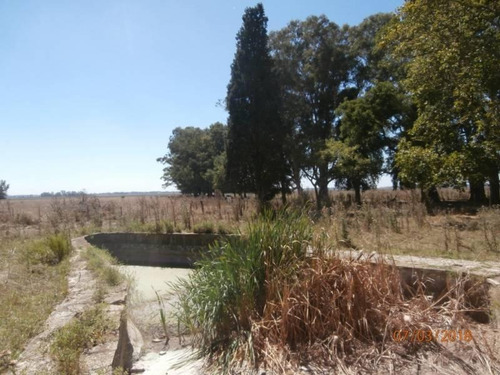 Imagen 6 de 25 de Campo Alto A 60 Km Del Ovelisco 376 Hectareas Con Mejoras