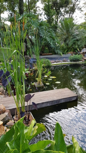 Chácara Alto Padrão Para Aluguel/locação, Bom Jardim, Jundiaí - Ch00070 - 69028370