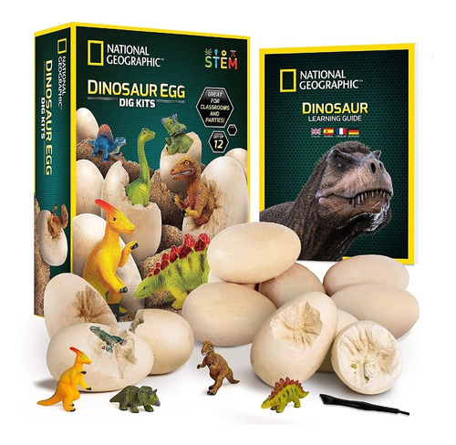 Kit Excavación De Dinosaurios National Geographic