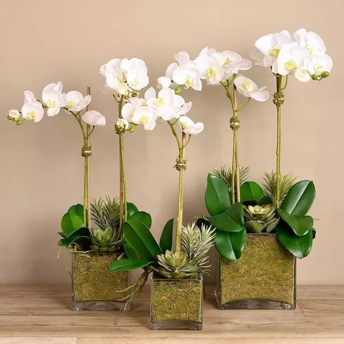 Paquete De 3 Arreglos De Orquídeas Artificiales Y Suculentas