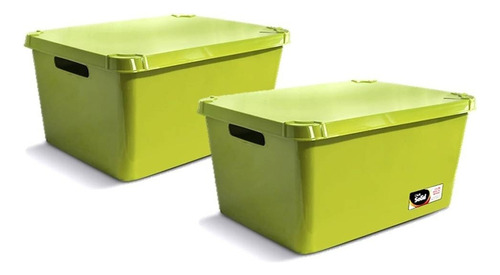 Cajas Plasticas Solid Baja X 2 Unidades 20lts Color Verde