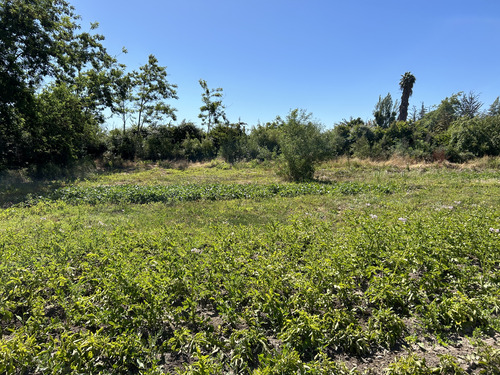Terreno En Lonquén Sur A Orilla De Camino