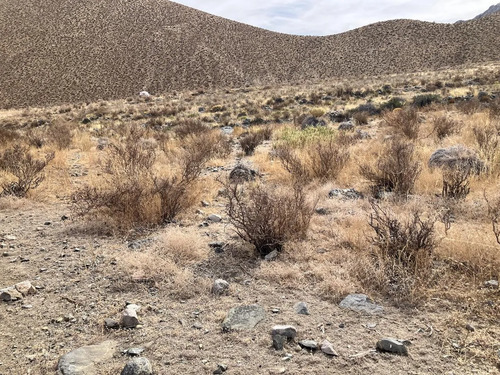 Amplio Terreno En Nueva Ruta Antakari