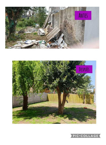 Imagen 2 de 3 de Limpeza De Terrenos - Desmalezado
