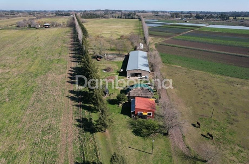 Imagen 5 de 30 de Campo En Venta - General Rodríguez - G.b.a. Zona Oeste