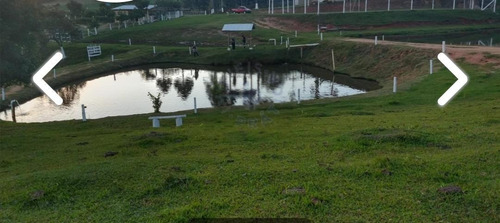 Imagem 10 de 12 de Chácara Catanduvas De Fora - 13 Km De Carambeí