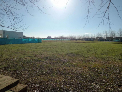 Imagen 1 de 8 de Oportunidad! Venta Lote Haras Del Sur 3 - Dueño Directo