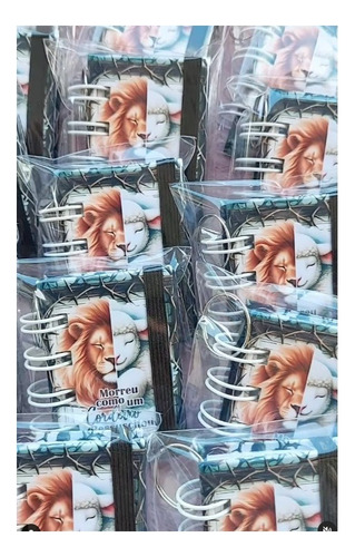 200 Holler 1,9 Cartão Cinza 4,5x6,5 Mini Biblia Dhama Ano 2025 Liso