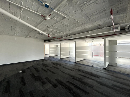 Oficina En Renta - Masaryk Piso 7 - 511 M2