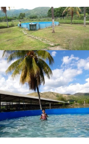 Granja Avicola En Venta 1.341mts2 + 3ha En San Francisco De Asis. 002jsc