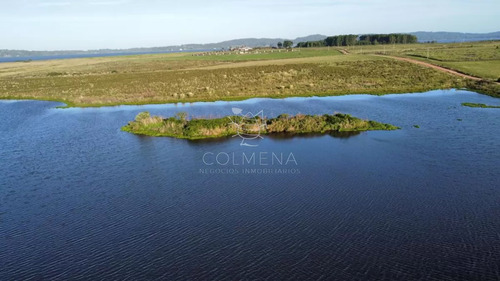 Campo Con 300 M De Frente A Laguna, Cuenta Con Un Islote Lugar Muy Pintoresco.