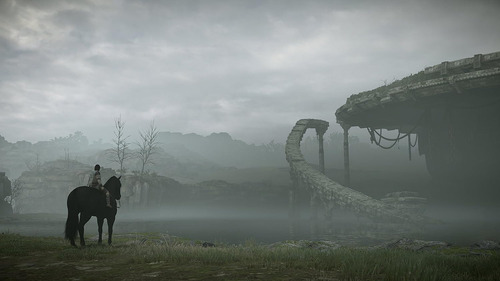 Shadow Of The Colossus Ps4 - Físico - Local (caja De Cartón) (Usado)