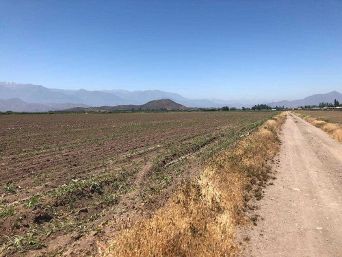 Vende 4há, Agricola, Camino Lindero Alto Jahuel. El Mirador.