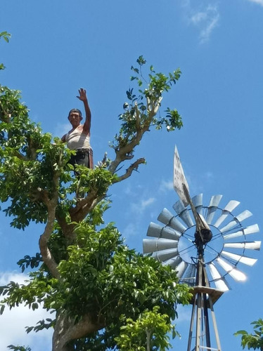 Hermoso Rancho A 4km De Tekit, Dentro Del Círculo De Cenotes