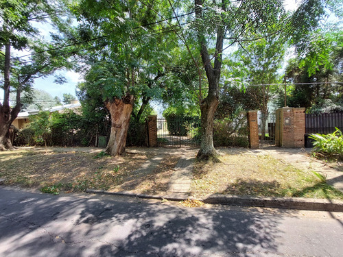 Lote 1.000 Metros