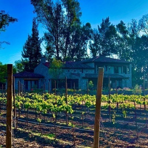 Venta De Terreno En Viñedo San Lucas, San Miguel De Alende