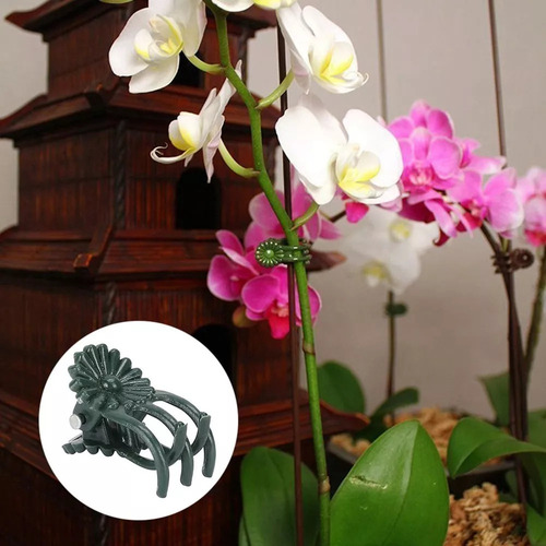 Grampos De Plantas Duráveis Clipes De Orquídea Para Jardim .