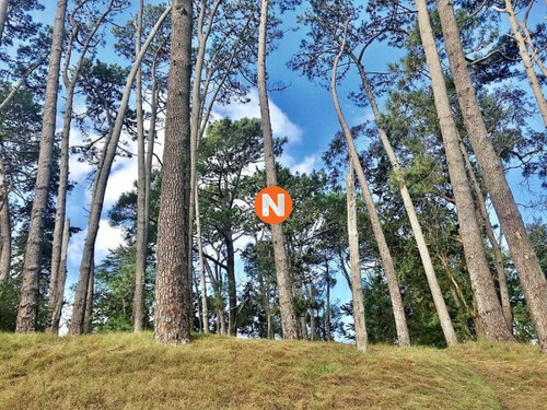Imagen 10 de 12 de Venta De Terreno En Cantegril Punta Del Este - Punta Del Este Cantegril