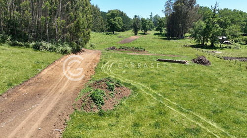 Imagen 13 de 15 de Parcelas Con Acceso A Rio - Robles Del Rahue