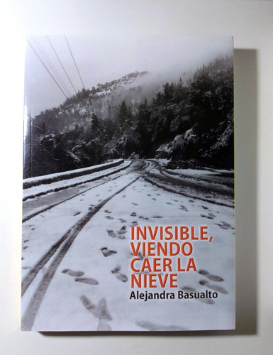 Novela Invisible, Viendo Caer La Nieve - Alejandra Basualto 