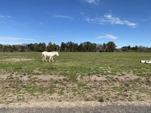 Imagen 22 de 30 de Venta Terreno Lote Financiado Parada Robles Exaltación De La Cruz