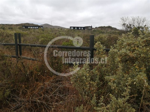 Imagen 1 de 19 de Sitio En Venta En Rocas Del Mar, Los Molles