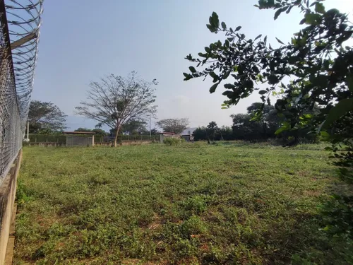 Lote En Venta En Corozal. Cod V29028