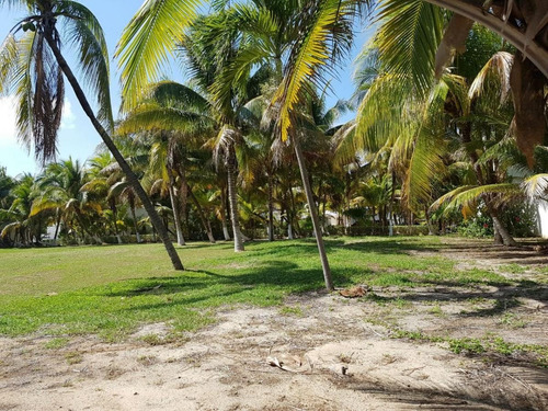 Imagen 15 de 18 de En Venta Terreno Comercial En Solidaridad Quintana Roo