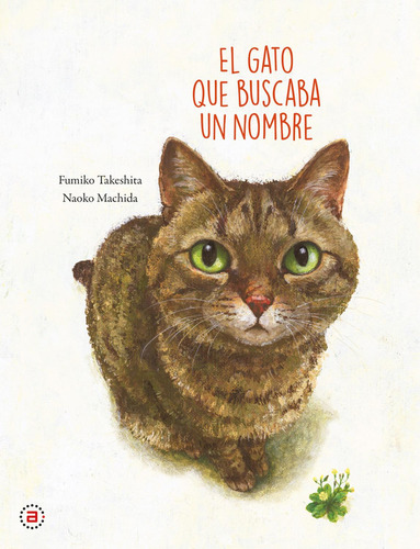 El Gato Que Buscaba Un Nombre