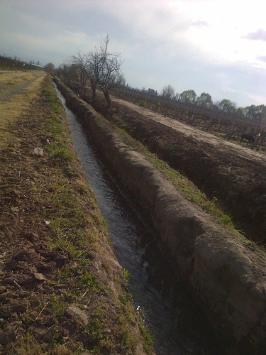 Imagen 12 de 13 de Agrelo, Cochabama - 15,7 Has