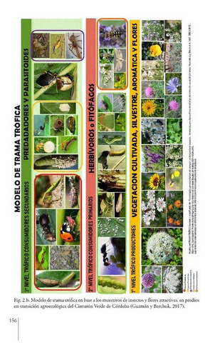 Barchuk: Manual Buenas Prácticas Para Diseños Agroecológicos