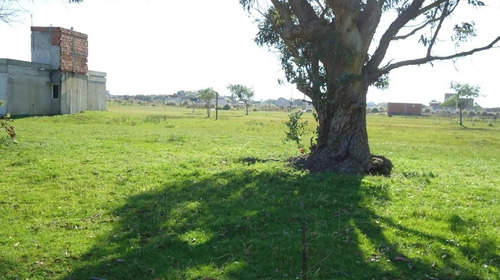 Imagen 9 de 16 de Terreno San Clemente Del Tuyú, Barrio Playa Grande Con Arboles. Escritura Inmediata