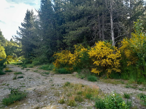 Imagen 9 de 21 de Excelente Loteo, Lago Puelo Lote N° 4