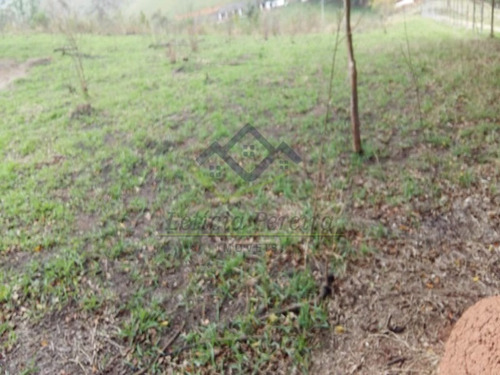 Imagem 8 de 12 de Área 21.500m² Santa Isabel-sp - Ar00016 - 71000382