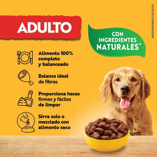 Imagen 6 de 6 de Pedigree Alimento Húmedo Adulto Res En Filetes 10 Sobres