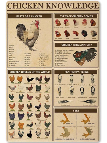 Chicken Knowledge  L Tin Sign Chicken Breeds Of The Wor...