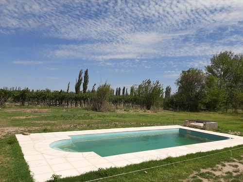 Finca De 11 Ha En General Alvear Mendoza