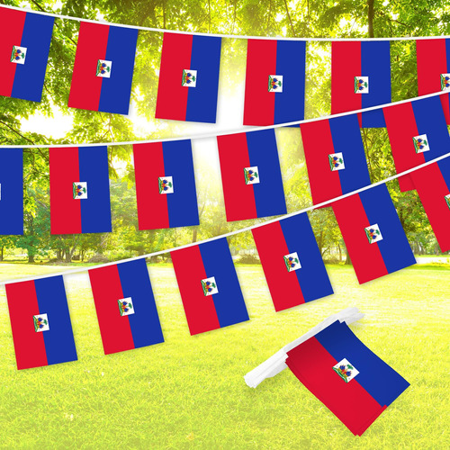 G128 Bandera Haitiana Del Banderín Haitiano | Bandera De 8,2