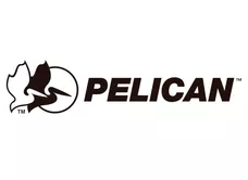 Pelican