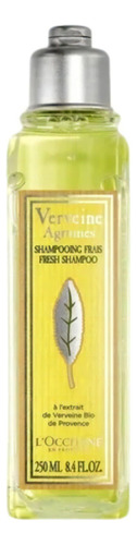 Shampoo Verveine 250ml L'occitane En Provence