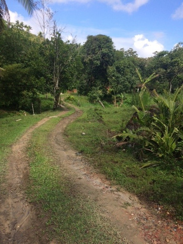 Imagem 14 de 15 de Mais Qualidade De Vida P/você Granja 2,5hec C/riacho Perene Na Guabiraba, Aceito Carro - Ch00026 - 68728098