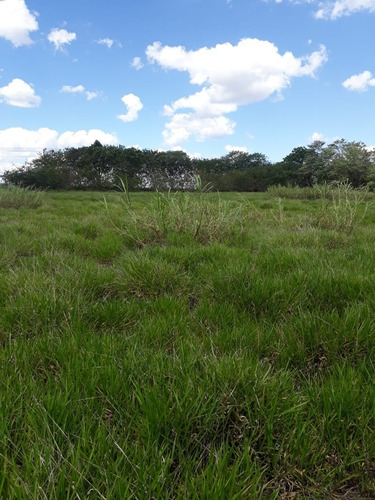 Chacara 3 Alqueires,rico Em Agua,casa Boa 7 Km De Itapetininga - Ch00050 - 68773733